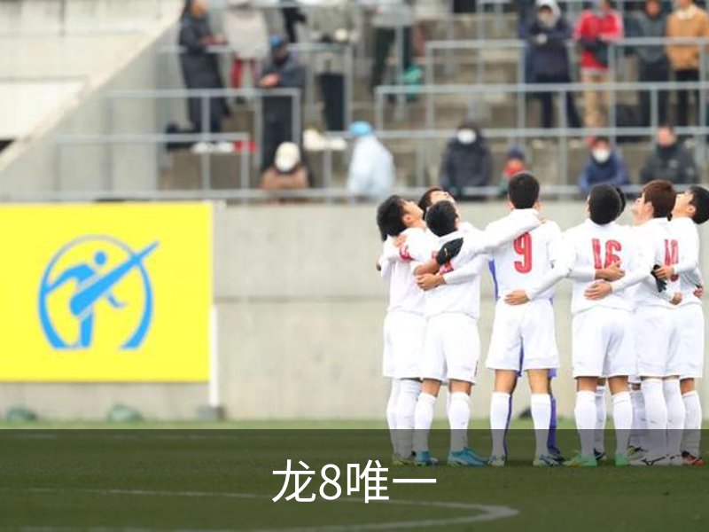 龙8唯一简介